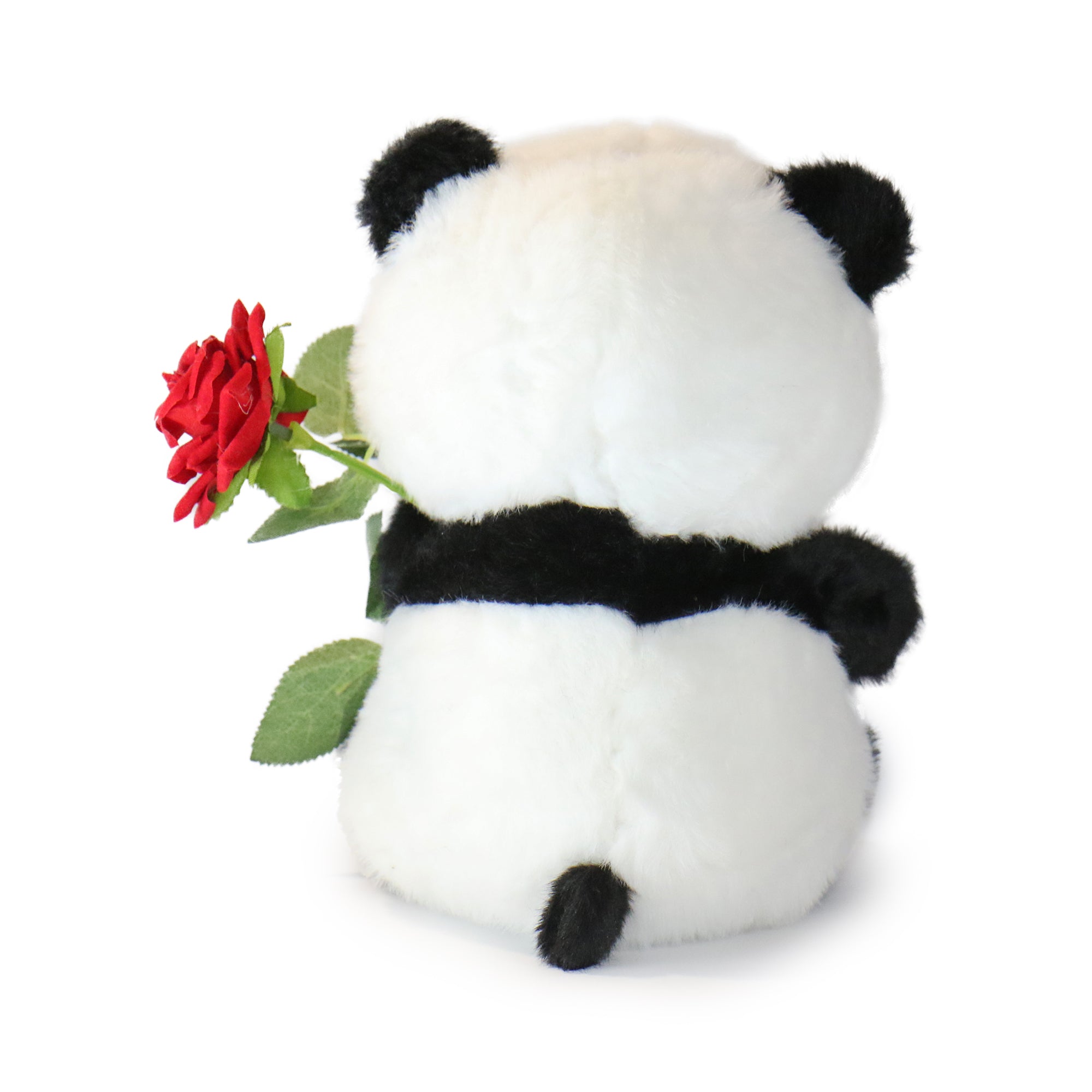 Romeo Panda