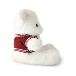 Image of Fashionable Polo Bear