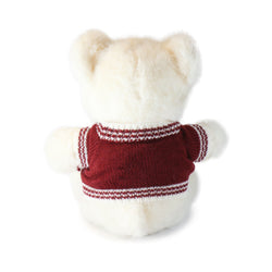 Image of Fashionable Polo Bear