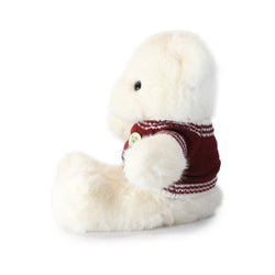 Image of Fashionable Polo Bear