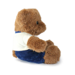 Image of Fashionable Huggable Bear