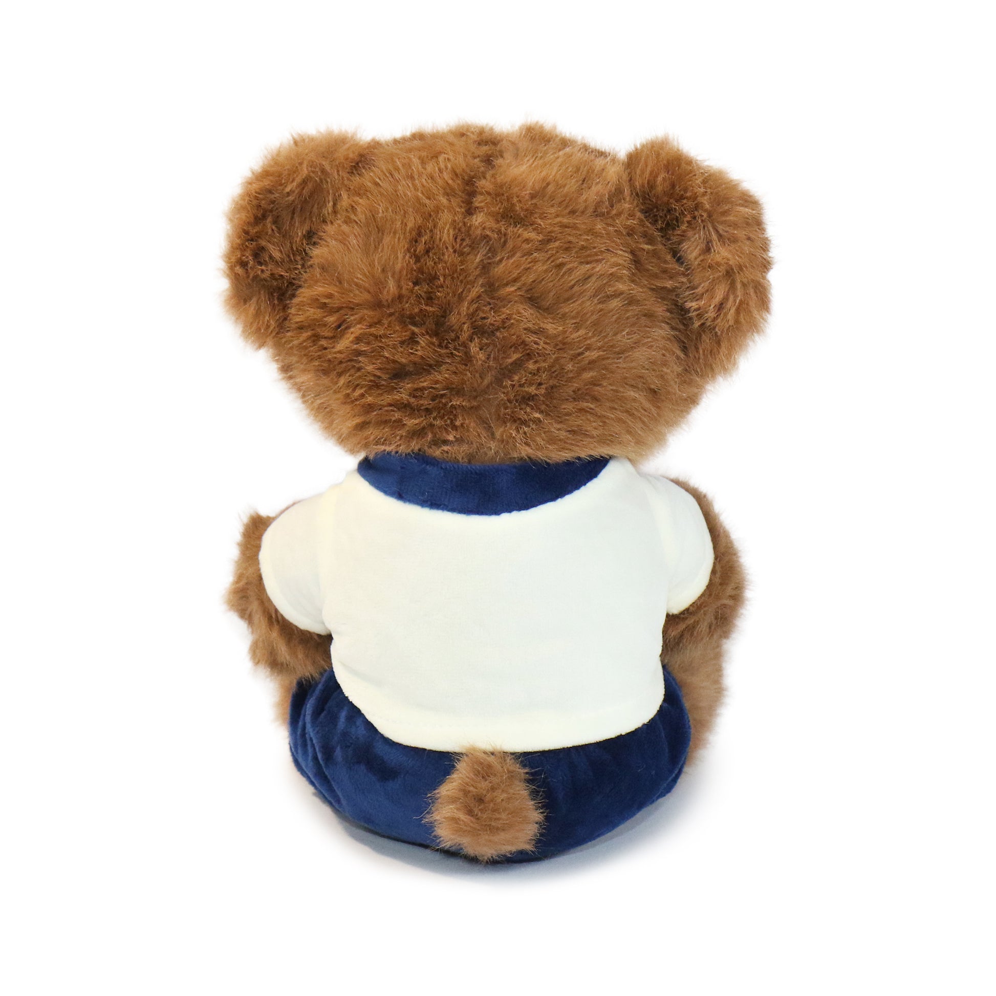 Fashionable Huggable Bear