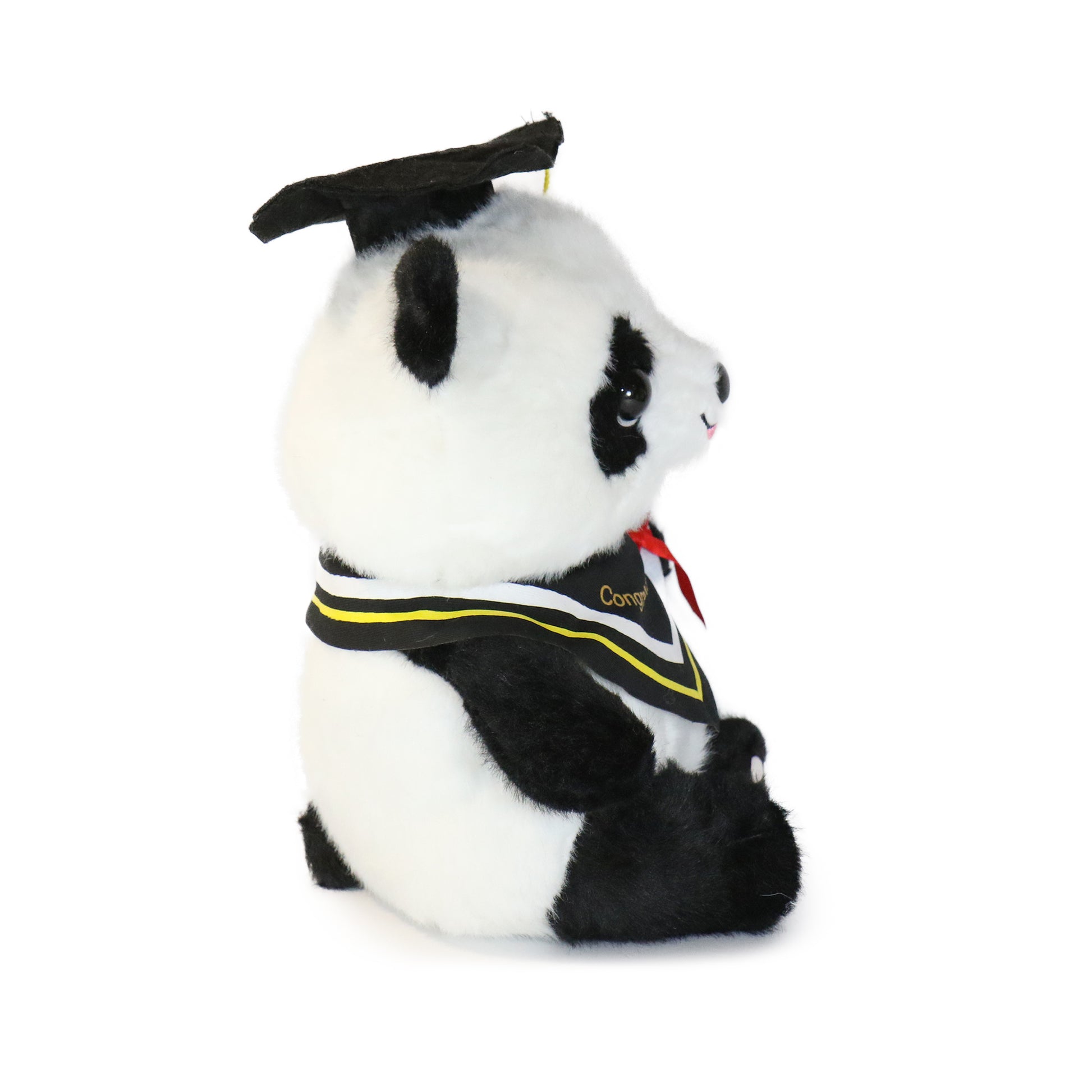 Ollie Panda