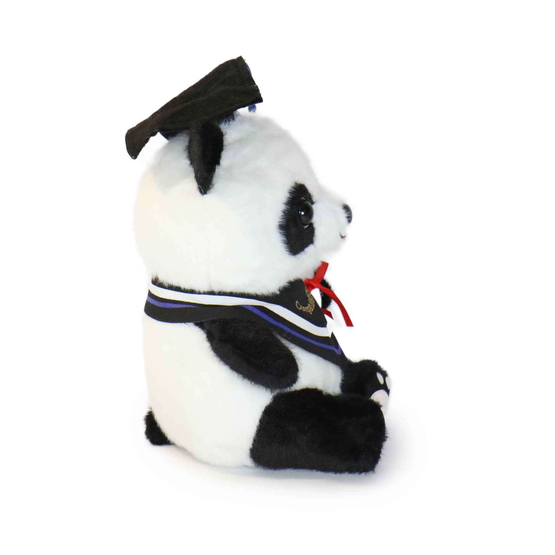 Ollie Panda