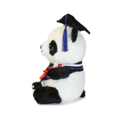 Image of Ollie Panda