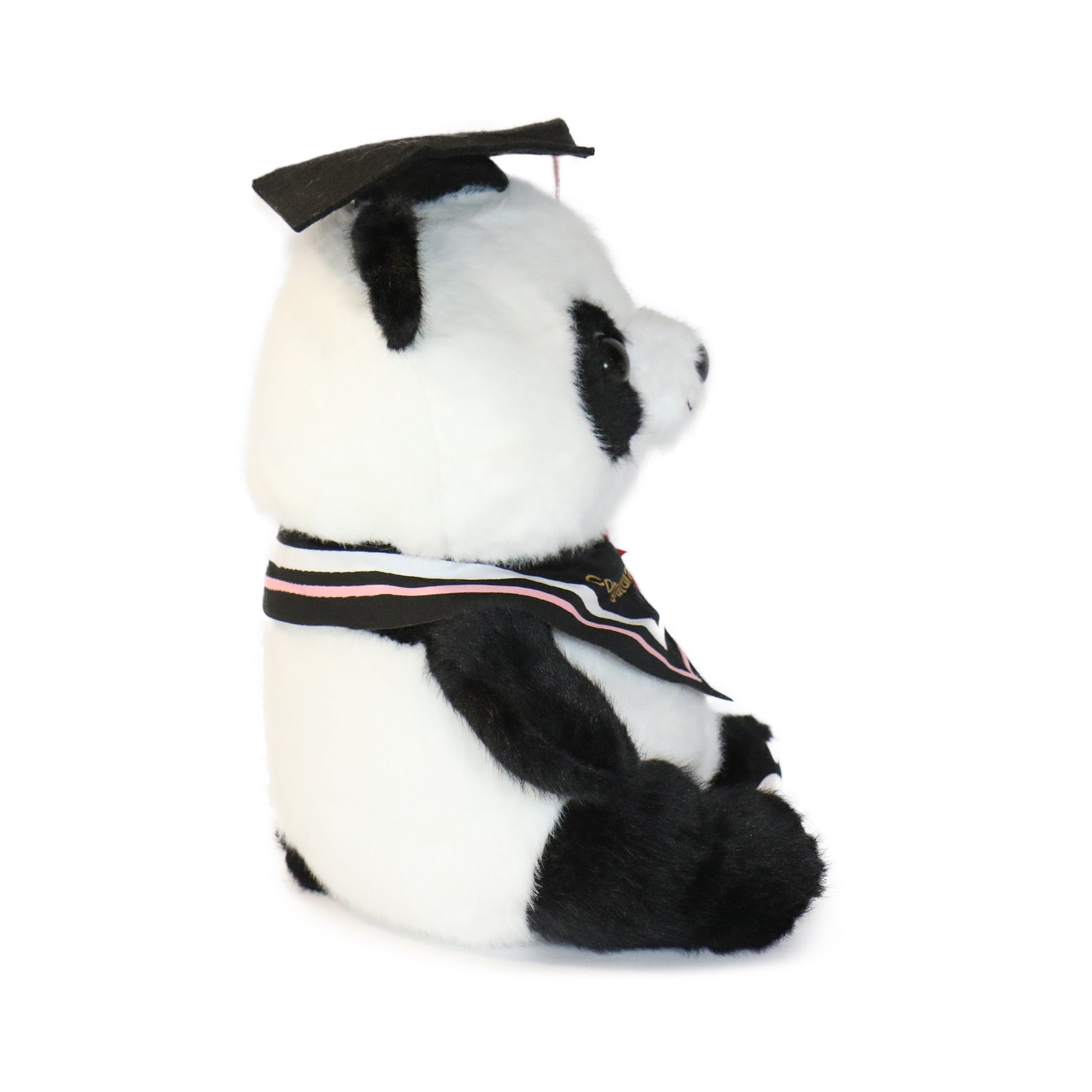 Ollie Panda
