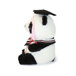 Image of Ollie Panda