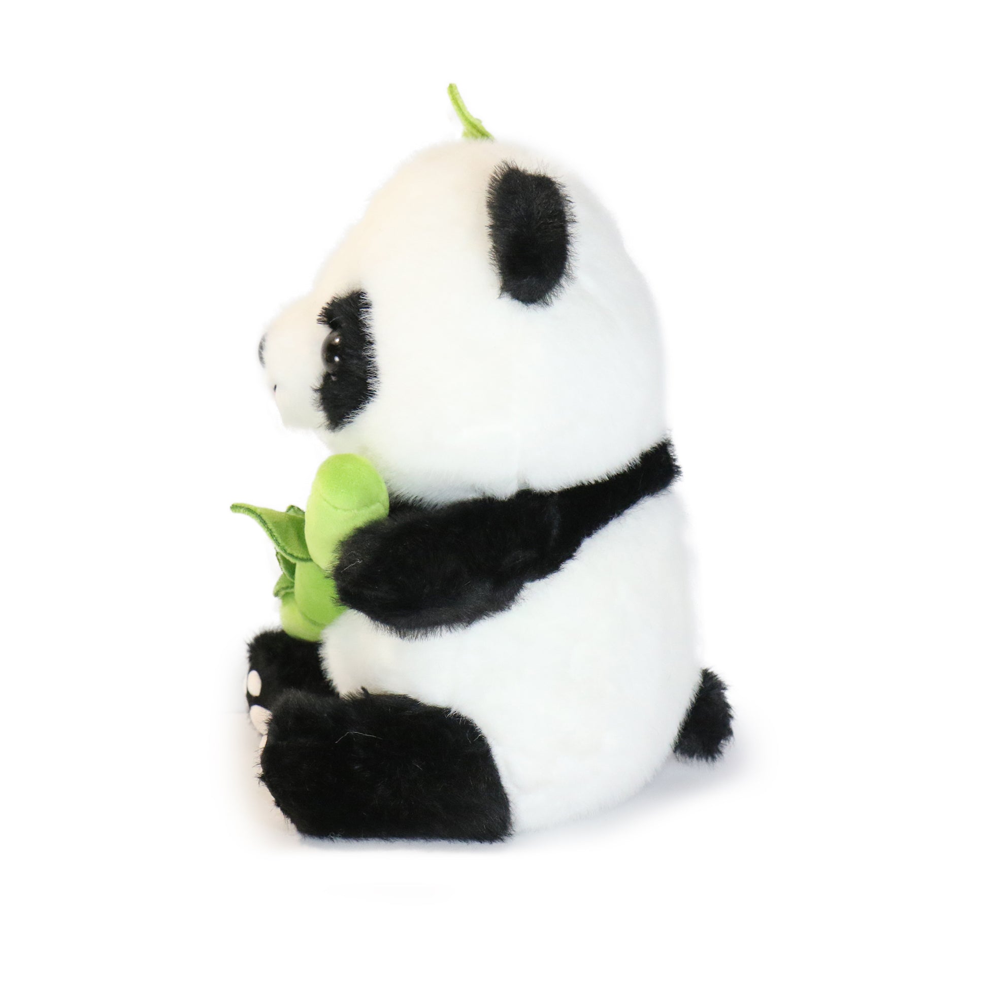 Sprig Panda