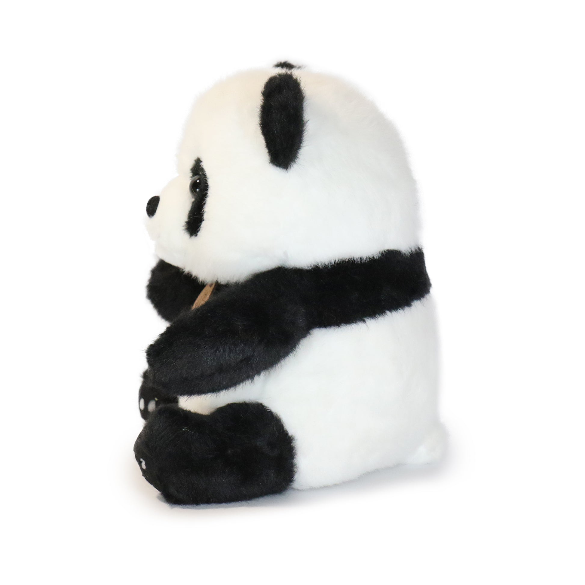 Ori Panda
