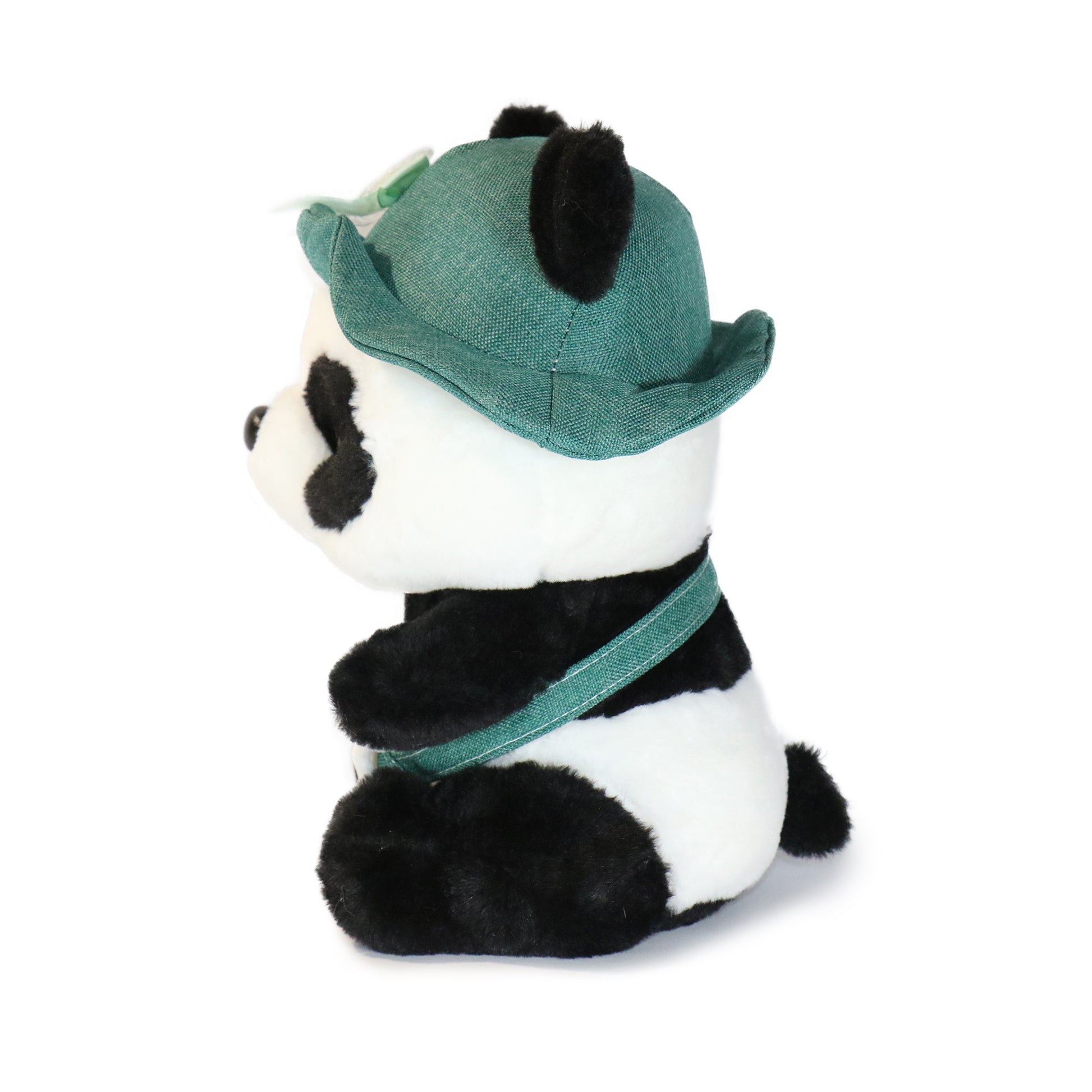 Daisy Panda