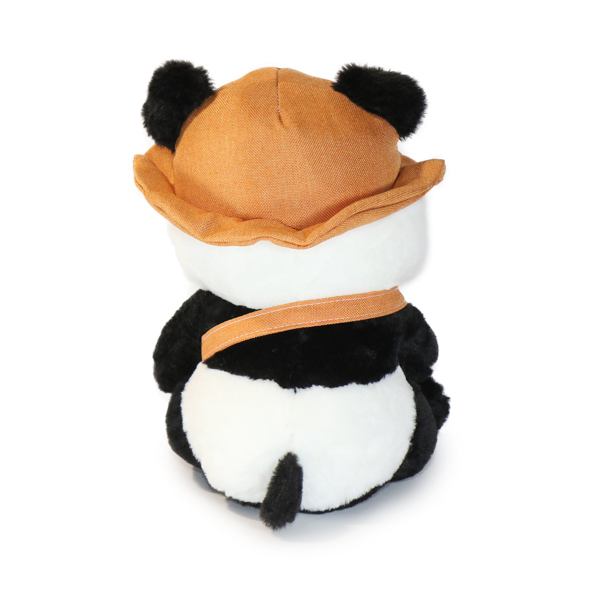 Daisy Panda