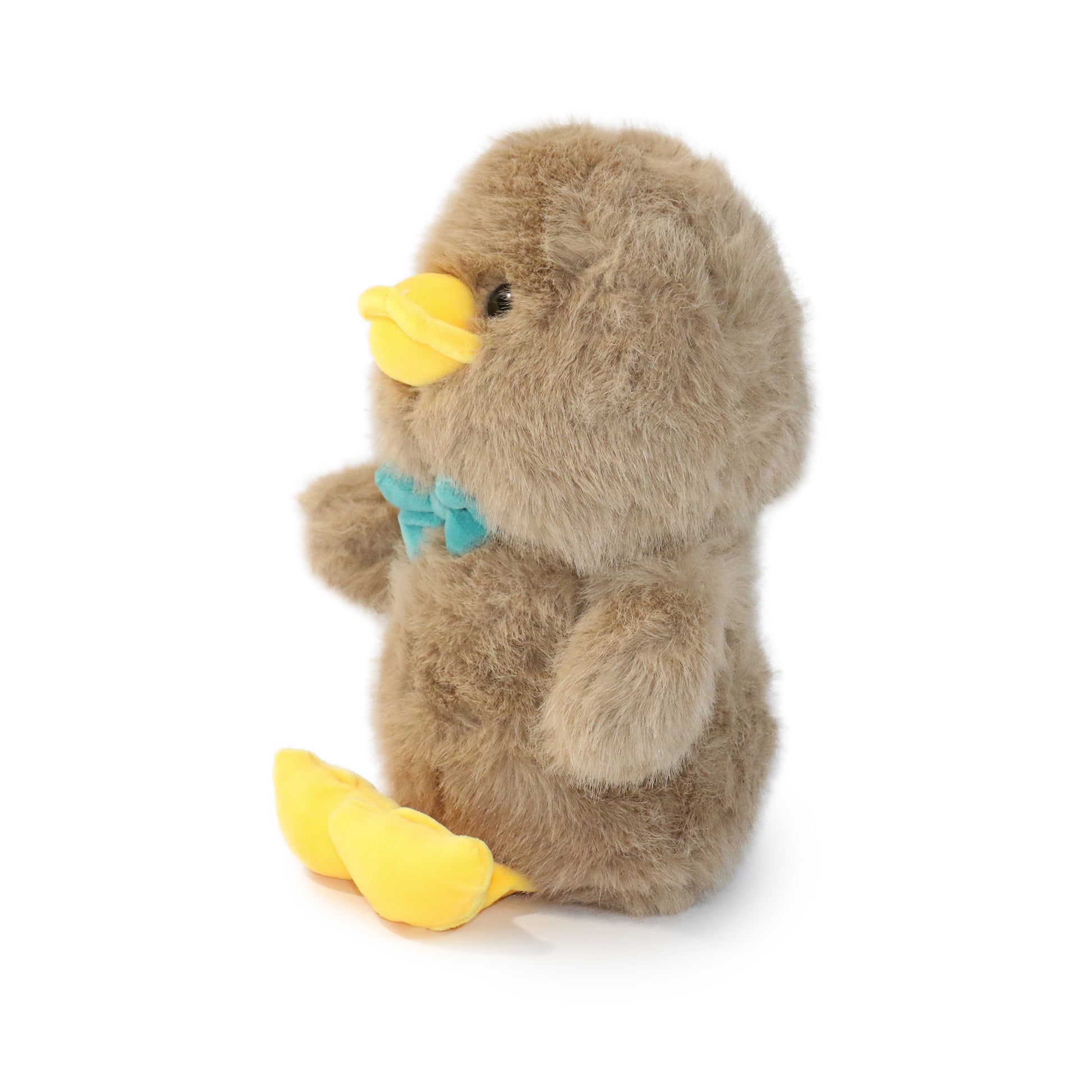 Dashing Bashful Duck