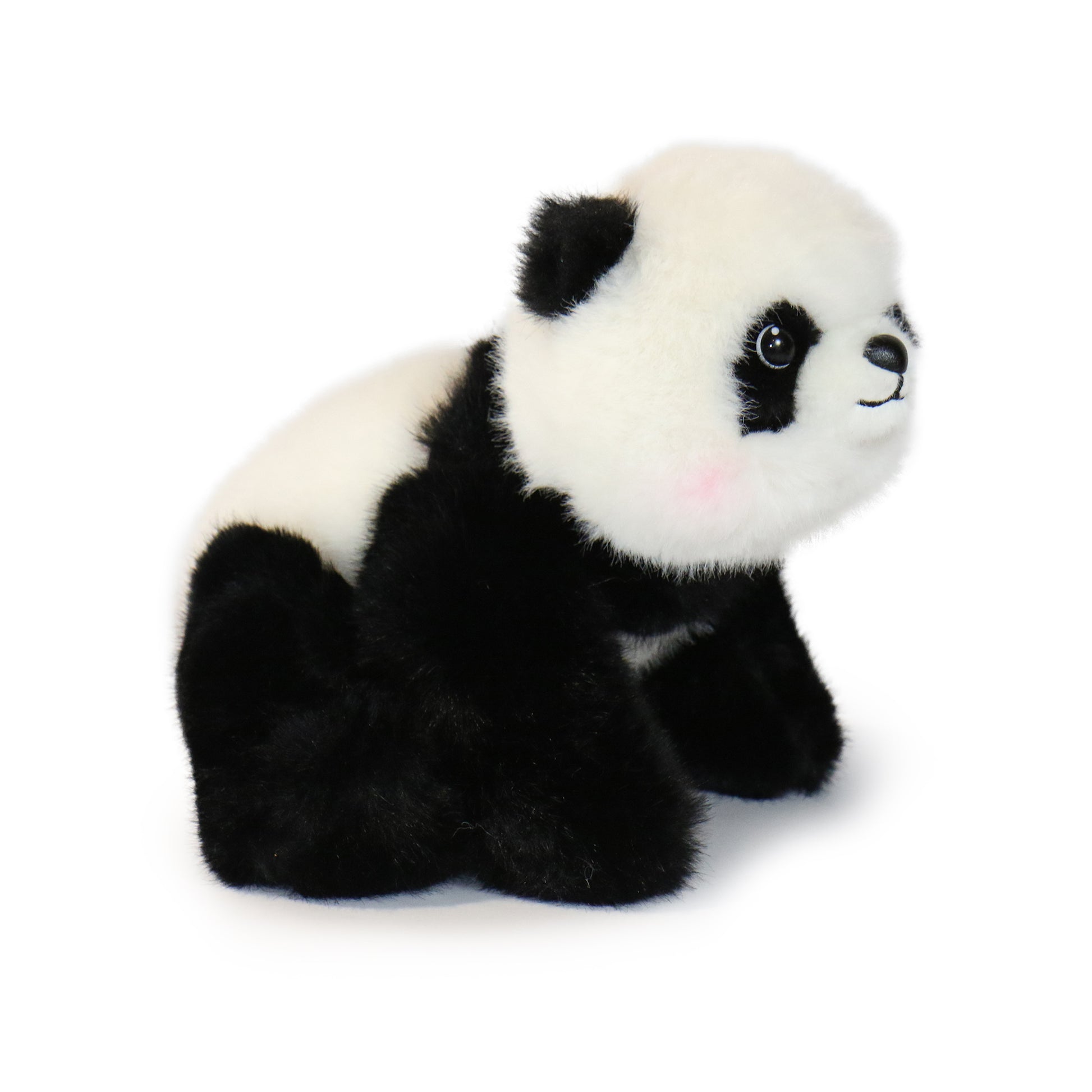 Peppy Panda
