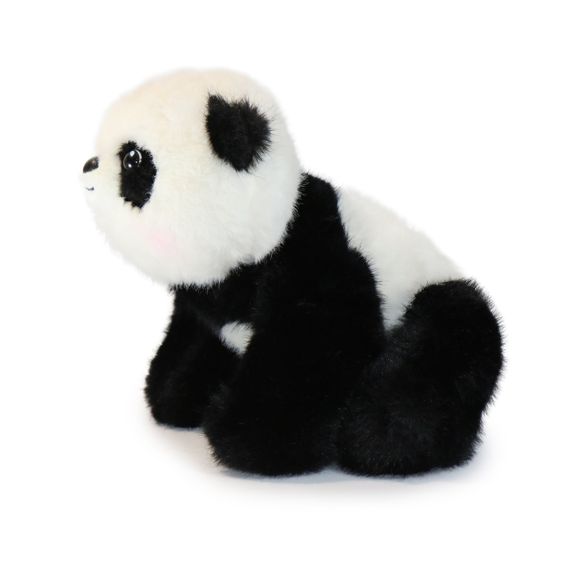 Peppy Panda
