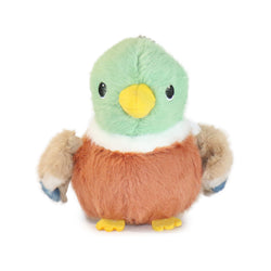 Pambu