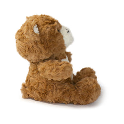 Image of Toffee Bear