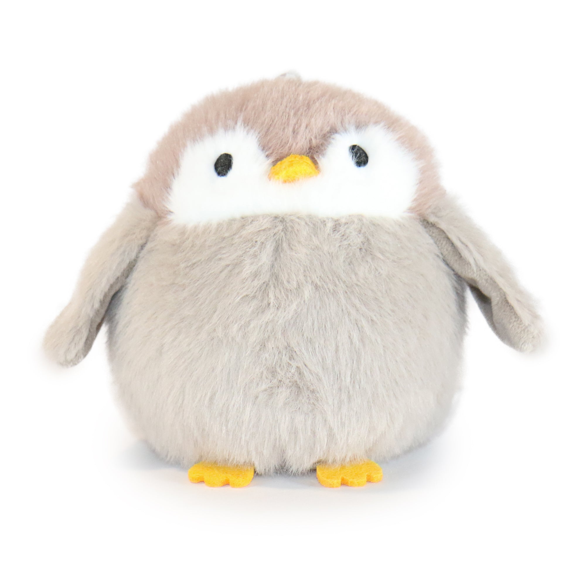 Pambu