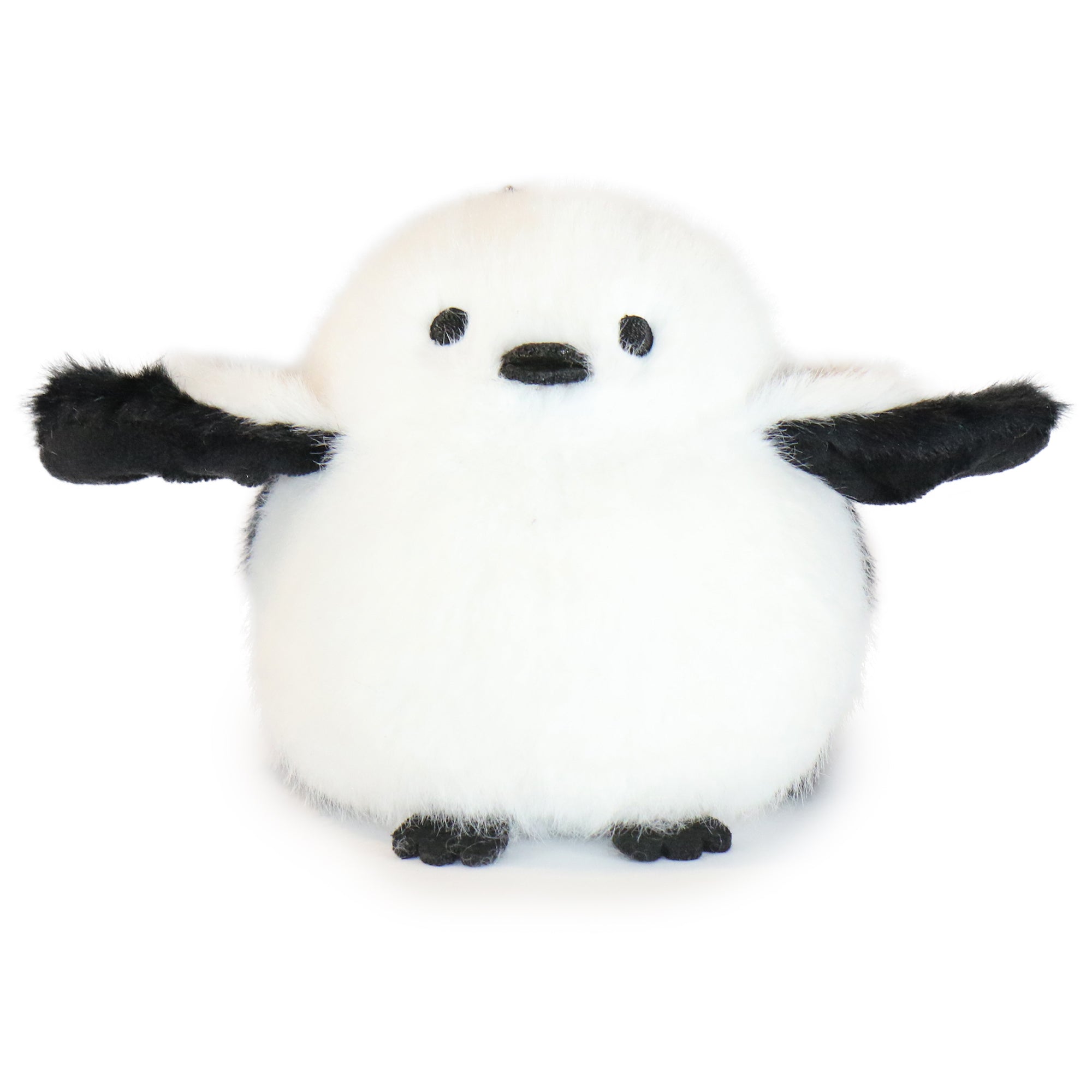 Pambu