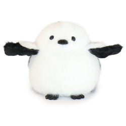 Pambu