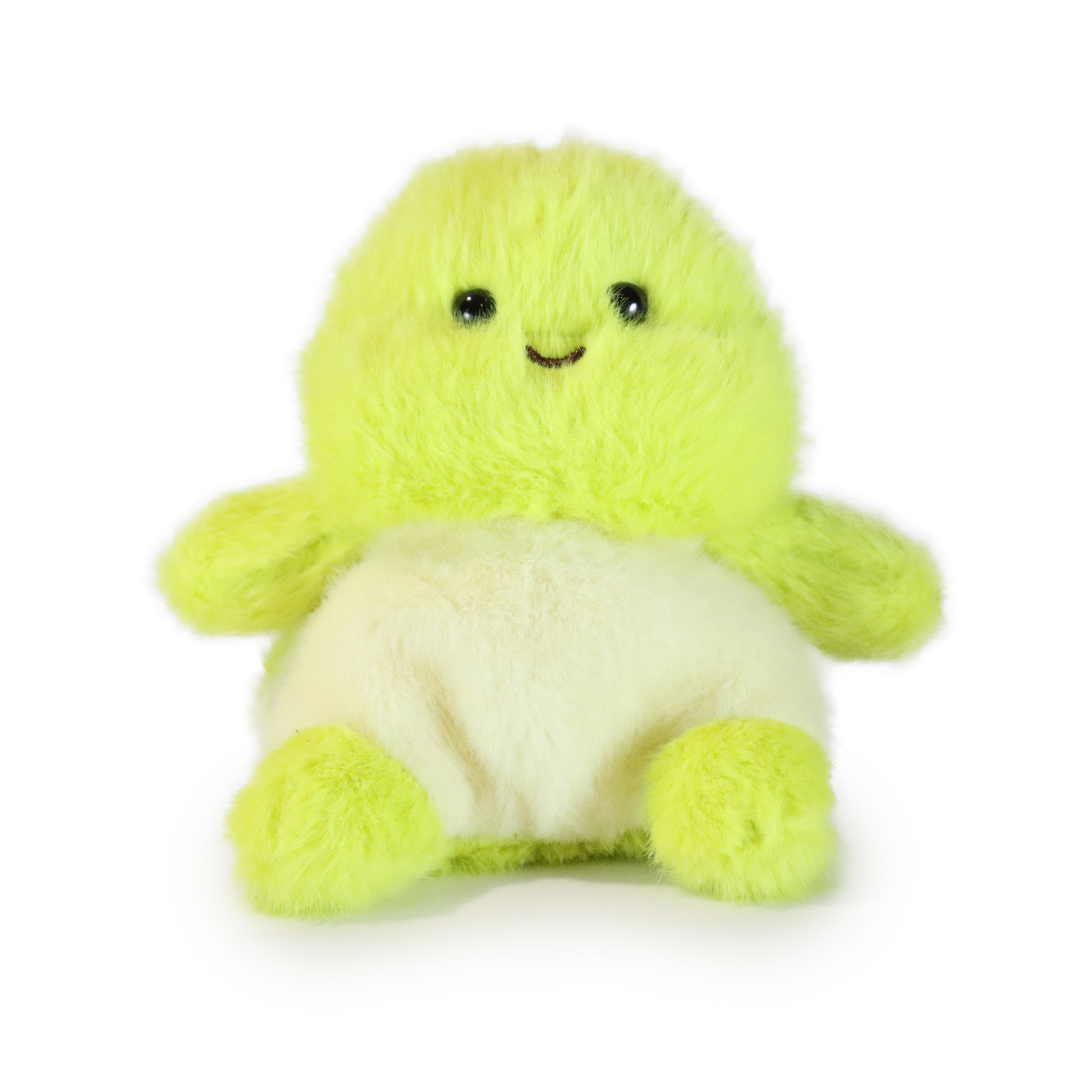 Toby Turtle