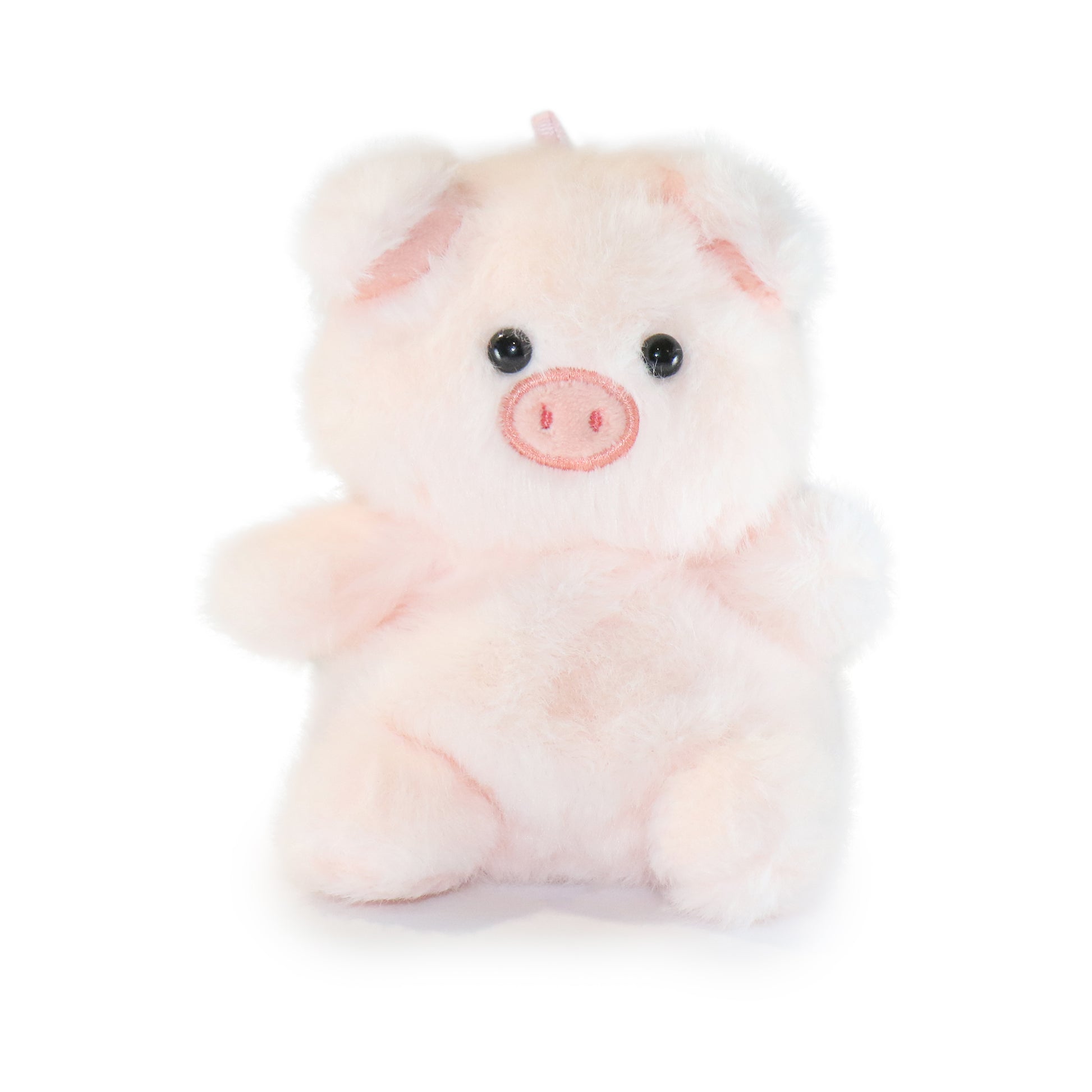 Pinky Pig