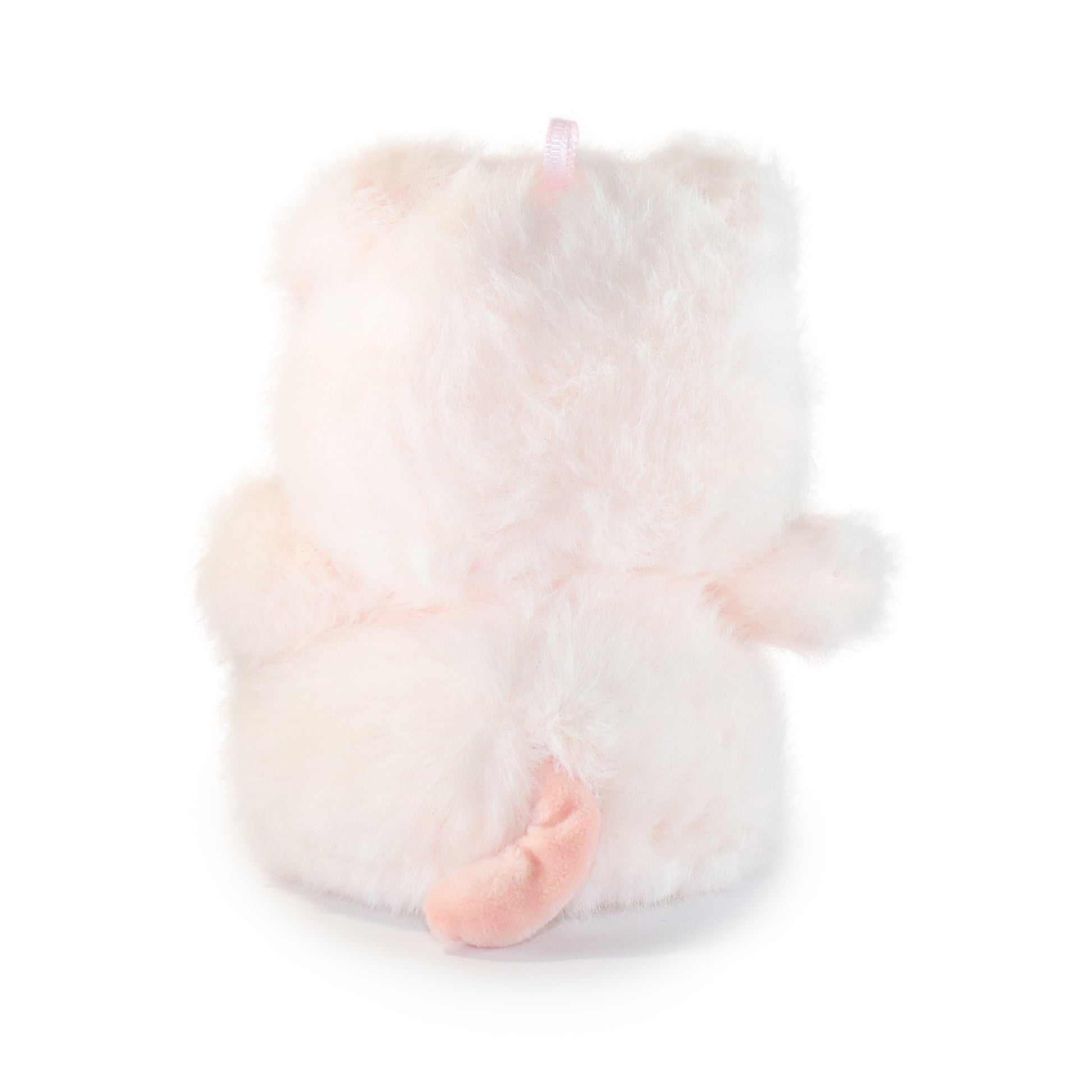 Pinky Pig