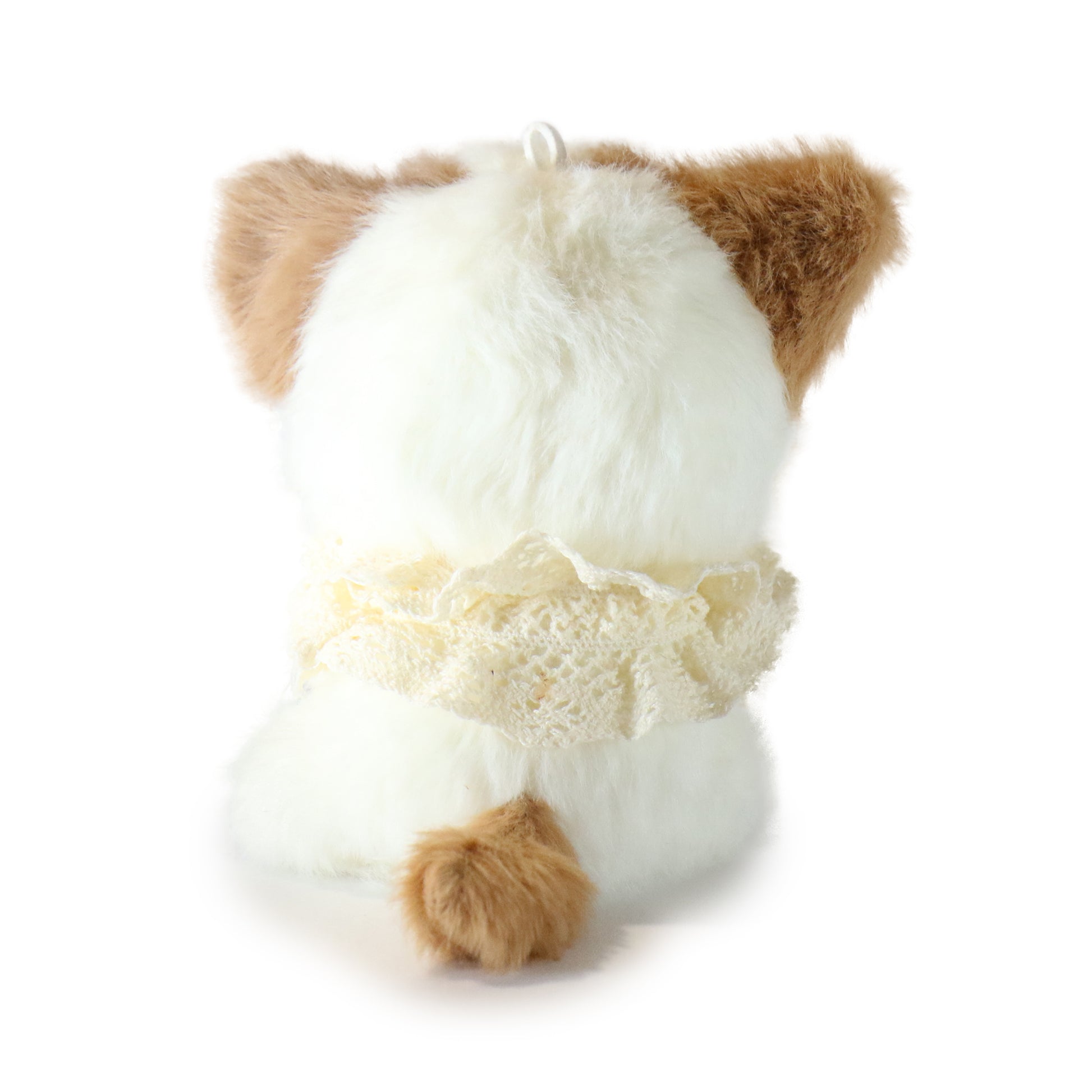 Tiny Tootie Cat