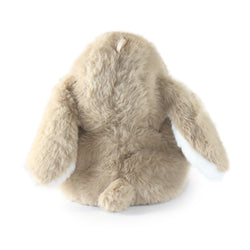 Image of Benny Bunny