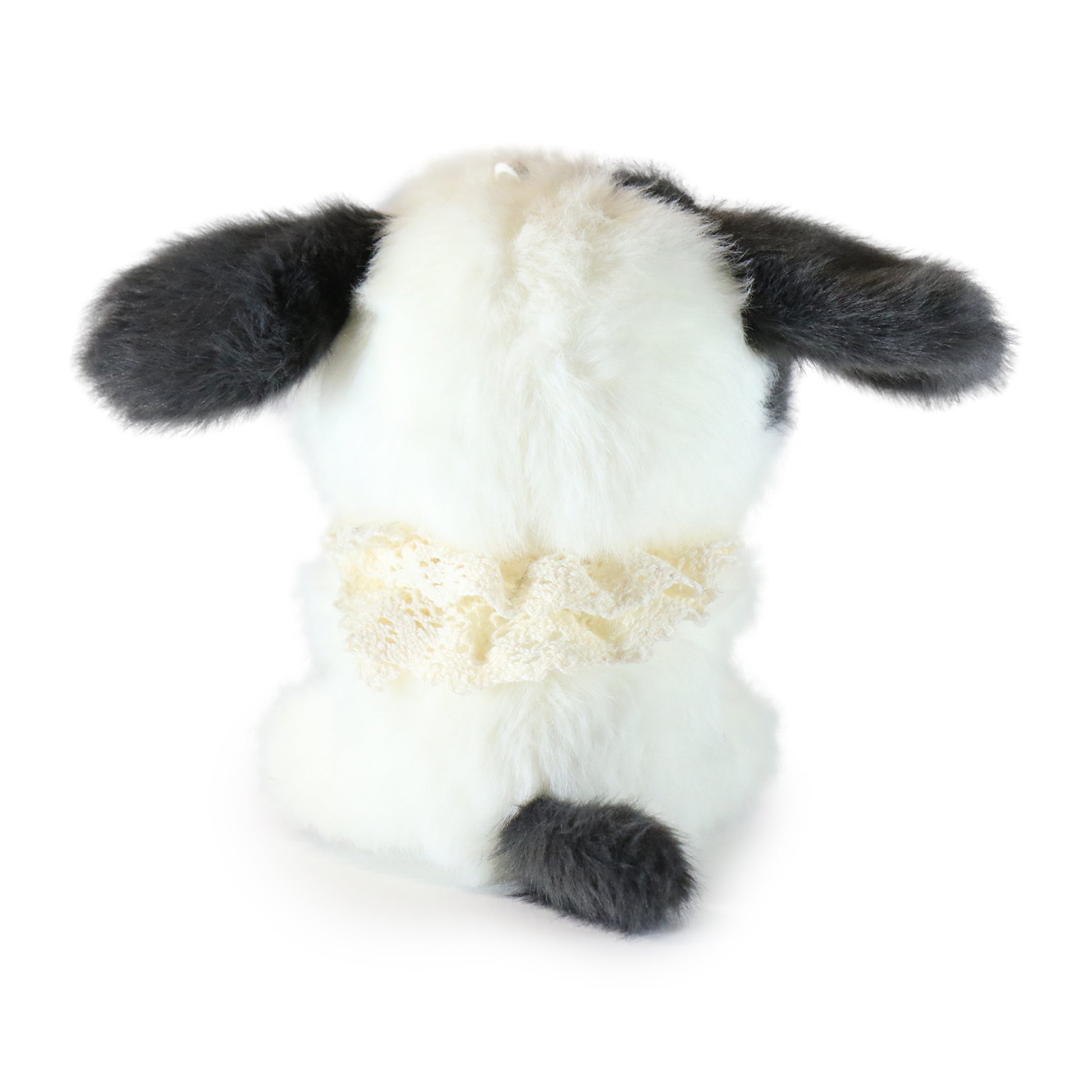 Tiny Tootie Dog