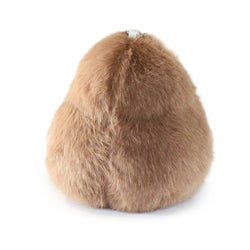Image of Toko Bird