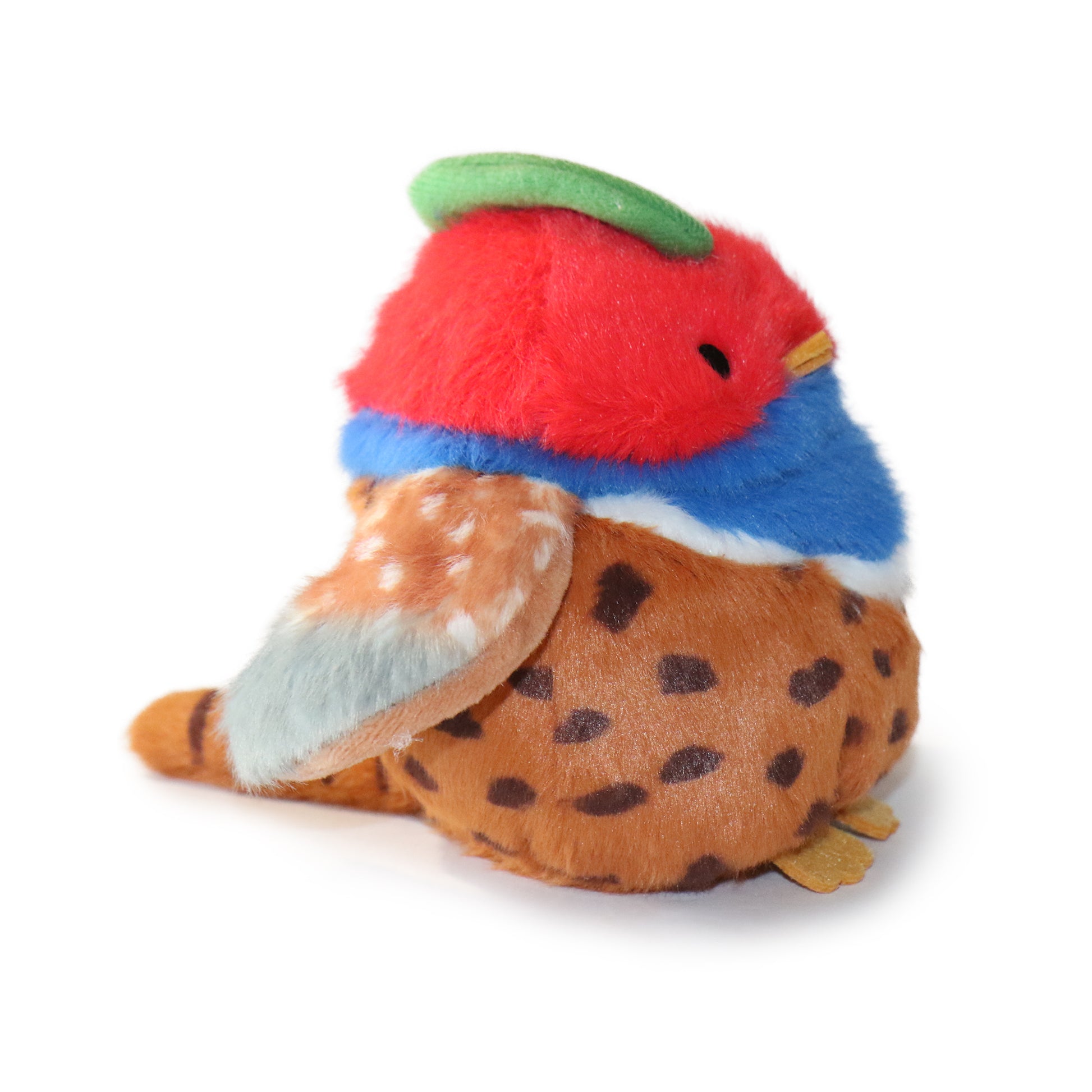 Pasha Bird