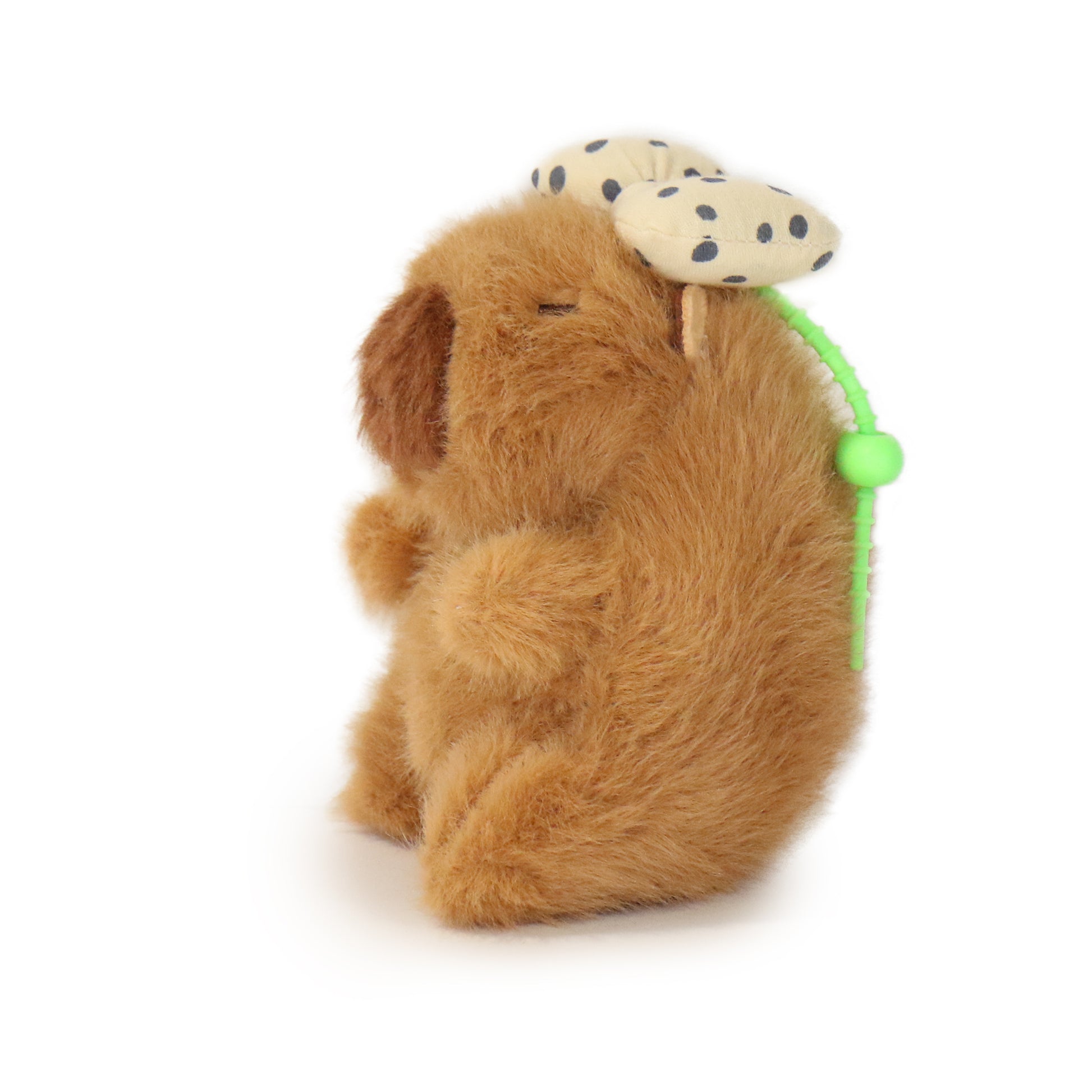 Dottie Guinea Pig