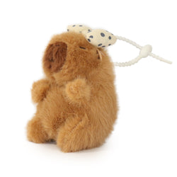 Image of Dottie Guinea Pig