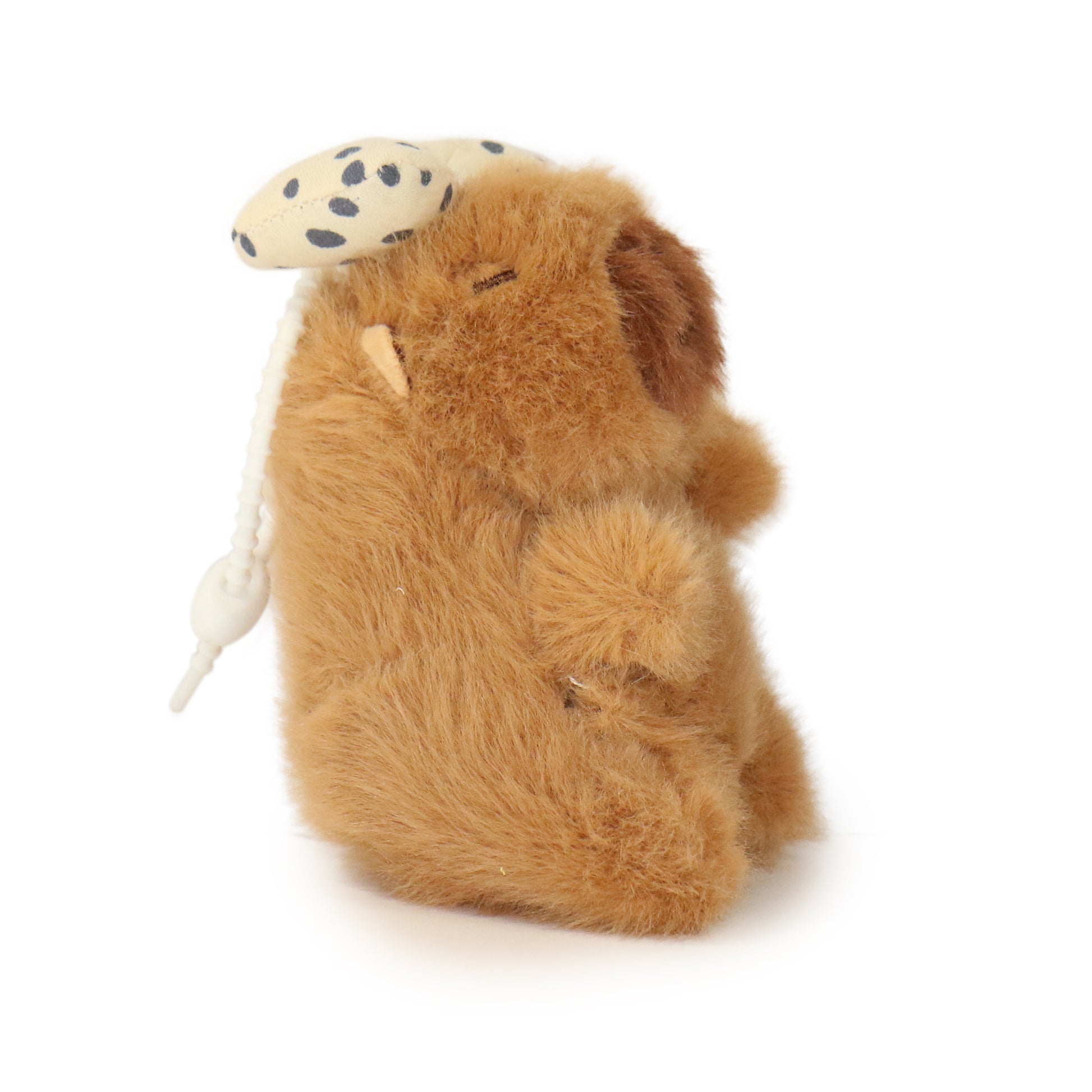 Dottie Guinea Pig