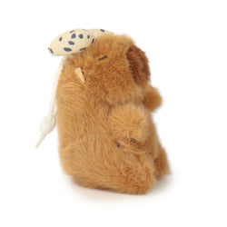 Image of Dottie Guinea Pig