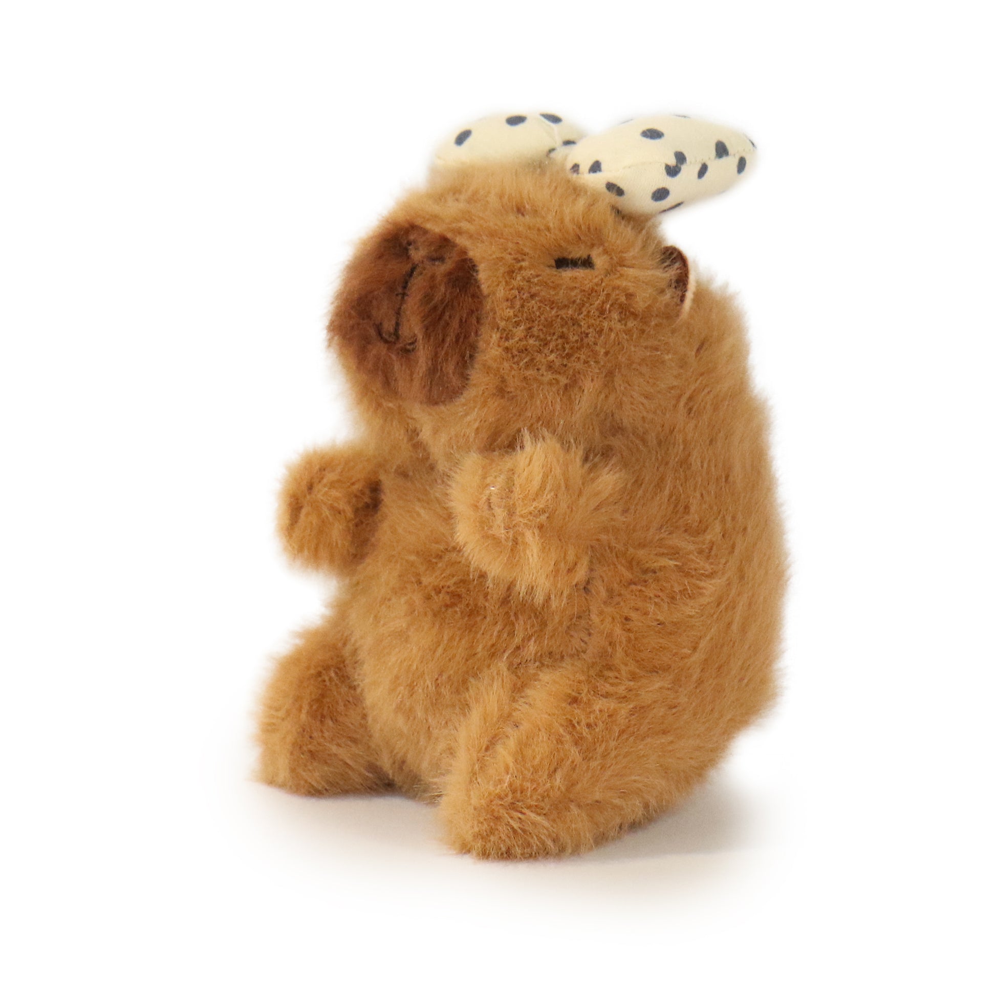 Dottie Guinea Pig