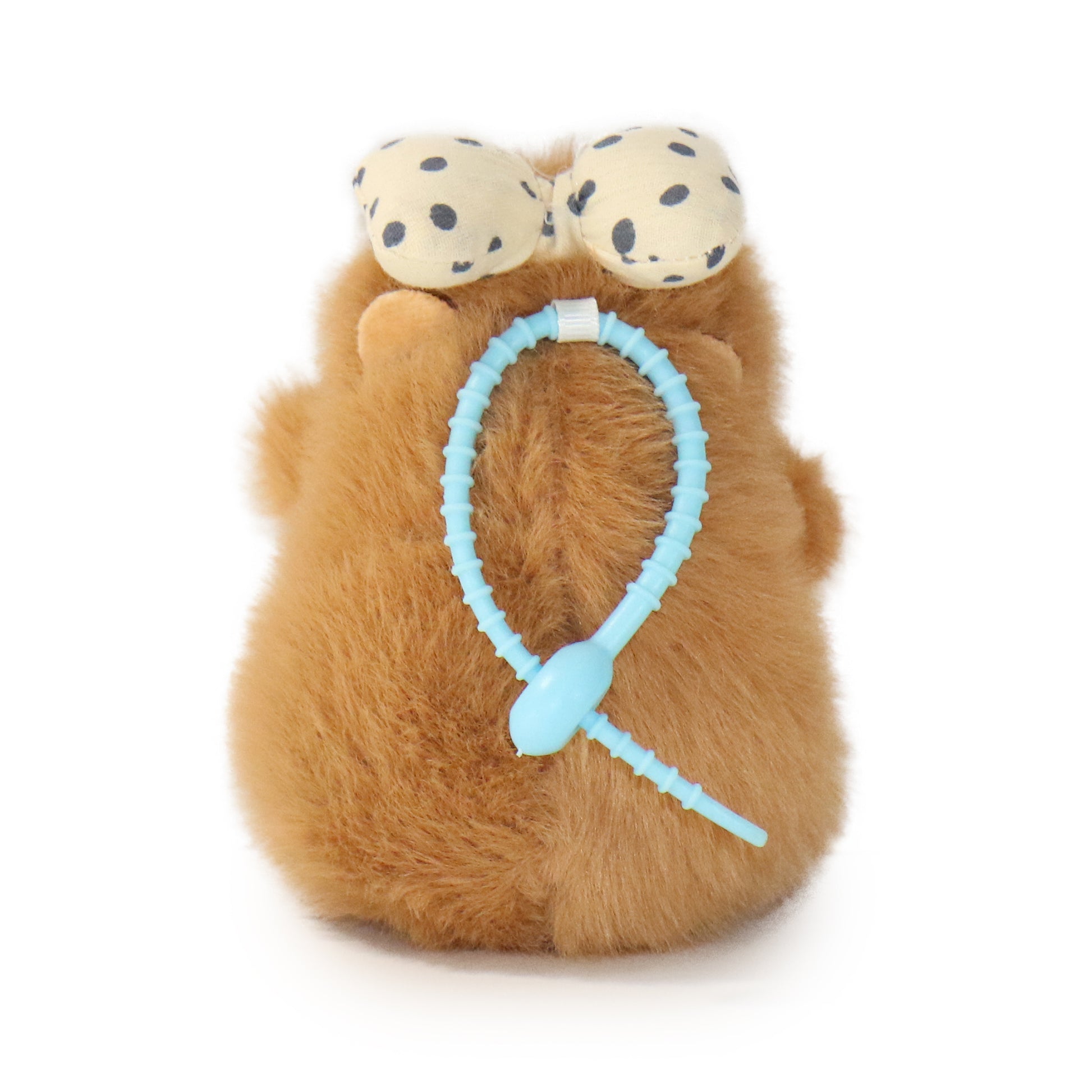 Dottie Guinea Pig