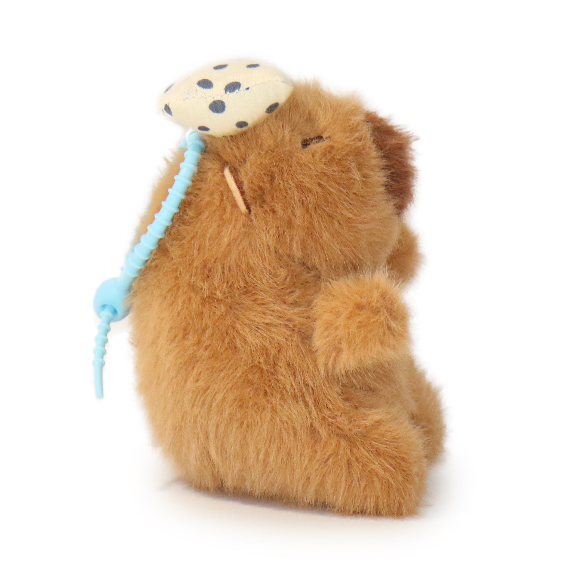 Dottie Guinea Pig