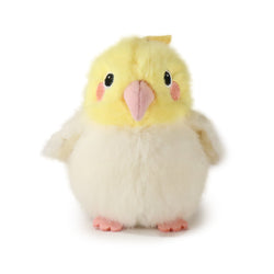 Pambu