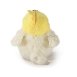Image of Yoyo Bird